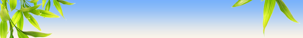 ����� ����